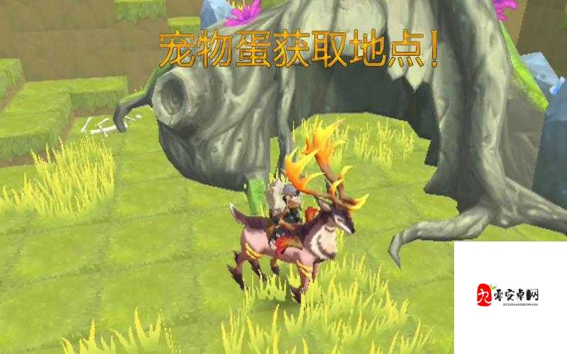 我的起源宠物蛋刷新位置，资源管理的艺术