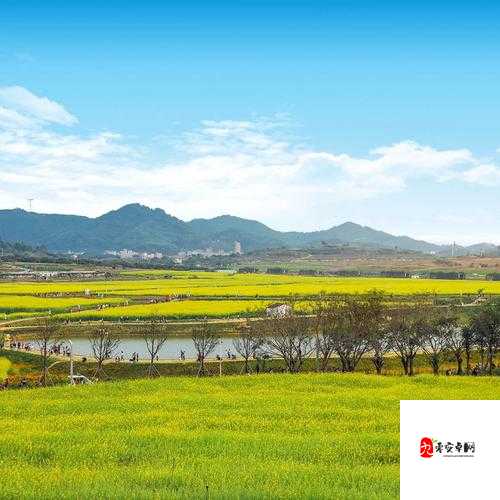 九牛电影天堂欢乐集结地：一个让你尽情享受欢乐的绝佳去处