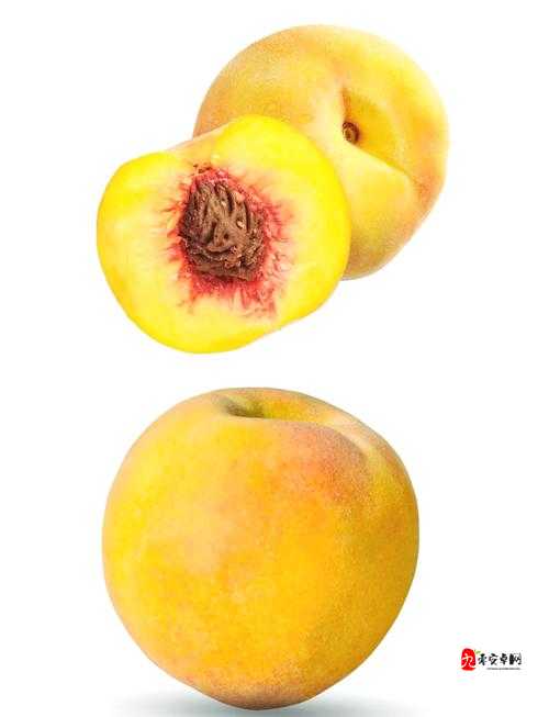 巨无霸水蜜桃 4439 ：独特美味的桃子佳品