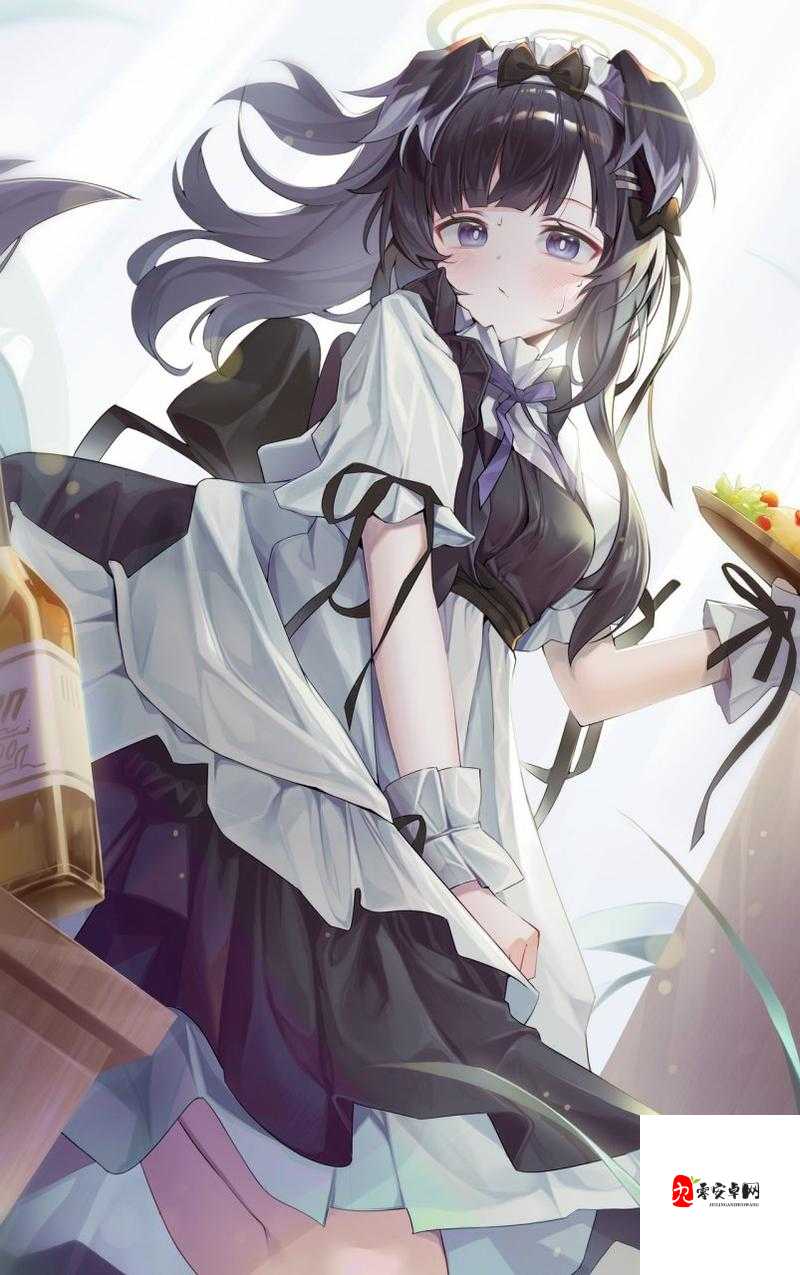 英灵召唤师冒失女仆图鉴，资源管理的艺术