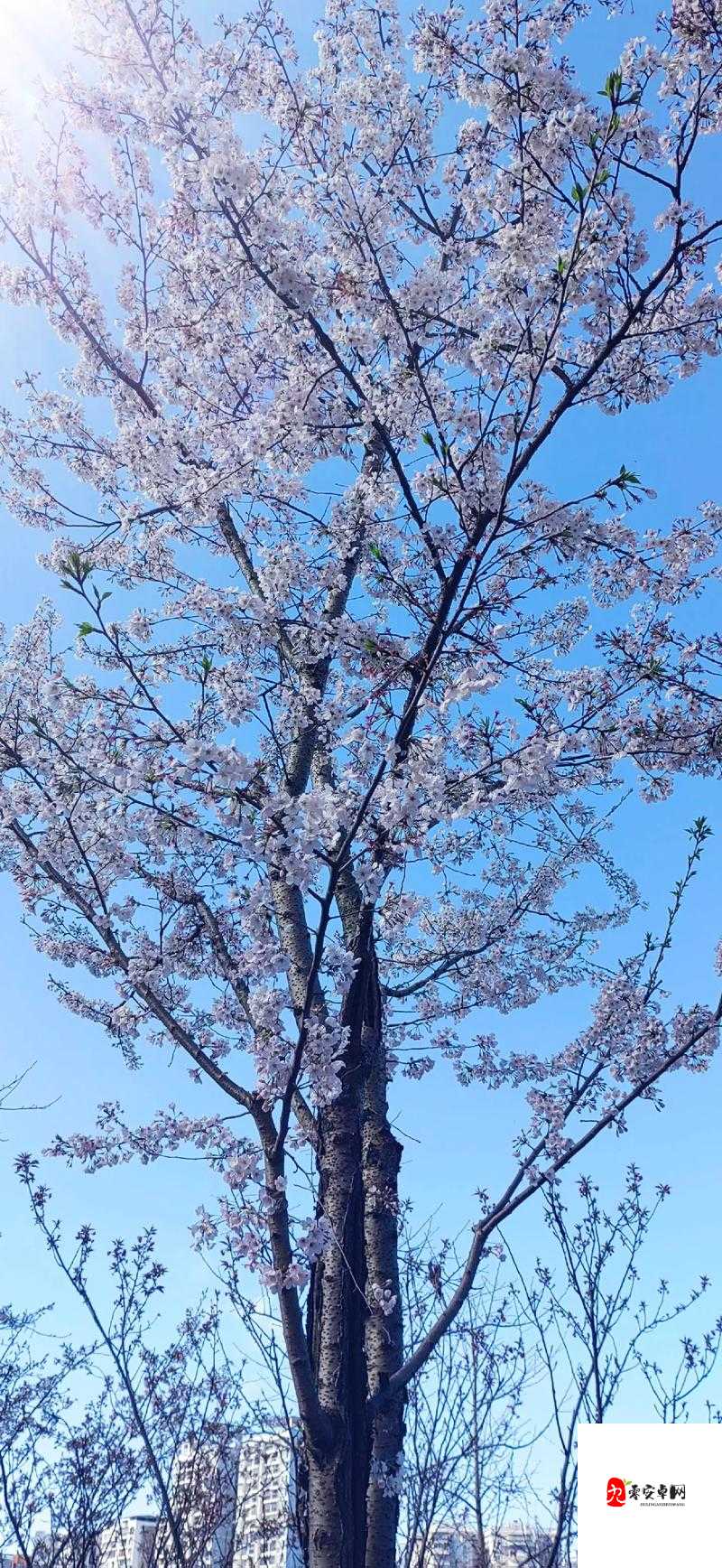 抖音热门话题，女孩子家，干净整洁才是最美的风景线