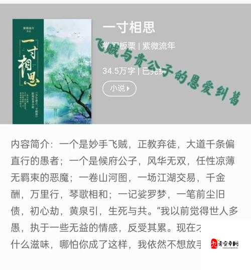江湖悠悠，武学图鉴里的刀光剑影与侠骨柔情