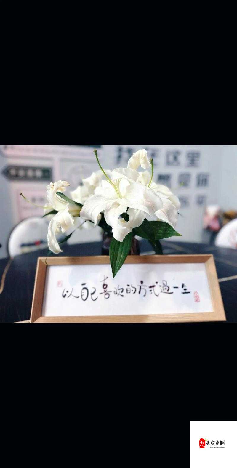 我会慢慢的，以很温柔的方式去对待一切