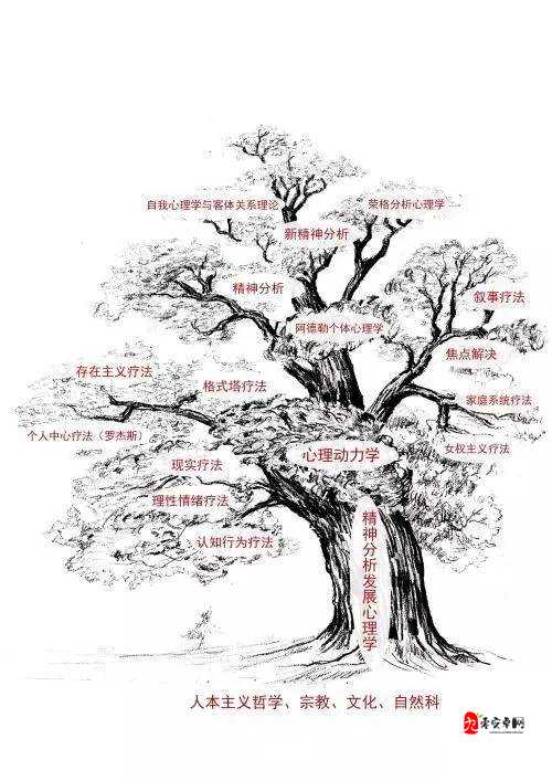 四叶草秘密研究所人口：关于其深入研究与全面分析