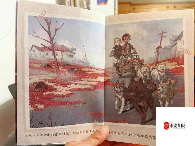 从厨房开启通往心灵深处的奇妙之旅