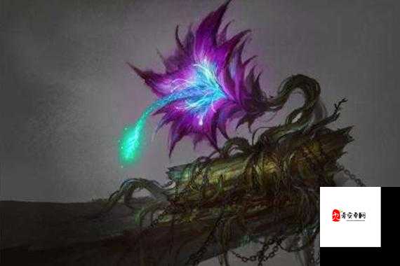 命运决战，揭秘恶果魔芋的神秘图鉴