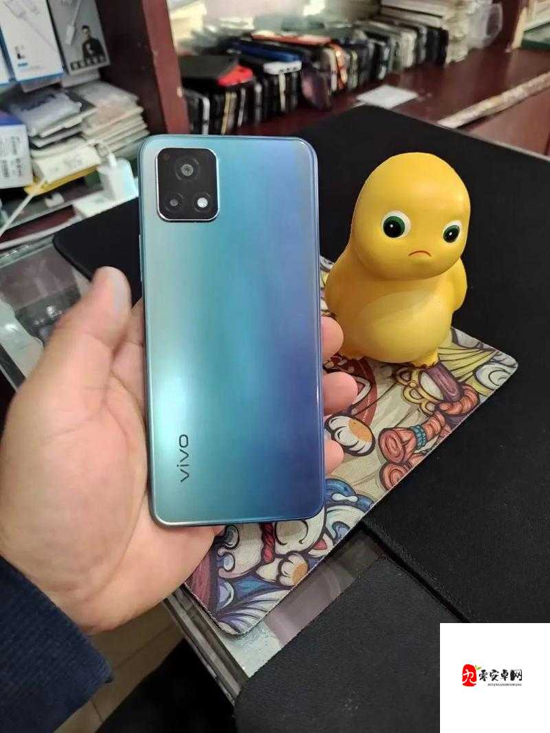 成色好的 y31：全方位解析详细解读