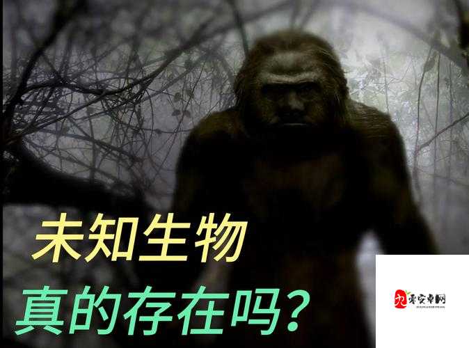 探索未知，以下哪个城市不是2017全球总决赛的举办地在资源管理中的重要性及策略