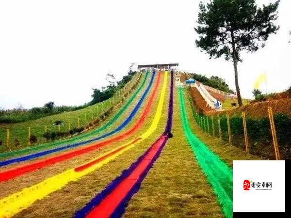 旅行换配偶：开启别样人生的奇妙旅程与选择