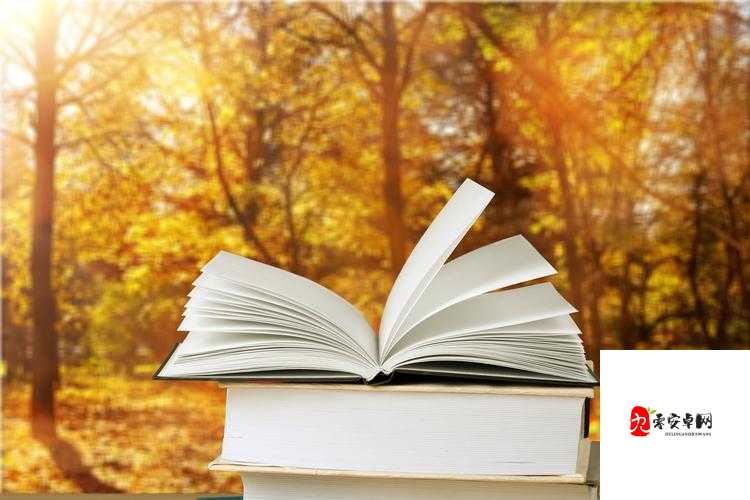 开荤之后金粥笔趣阁：带你走进不一样的阅读世界