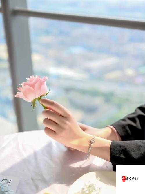 女孩子奖励自己的资料：给自己一份独特的美好与满足