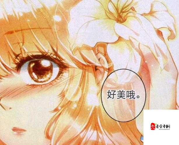 命运决战炽天使加百列图鉴，资源管理的艺术与策略