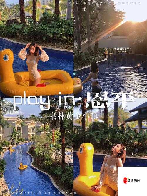 黄金网站 APP 在线看：开启精彩视觉盛宴之旅