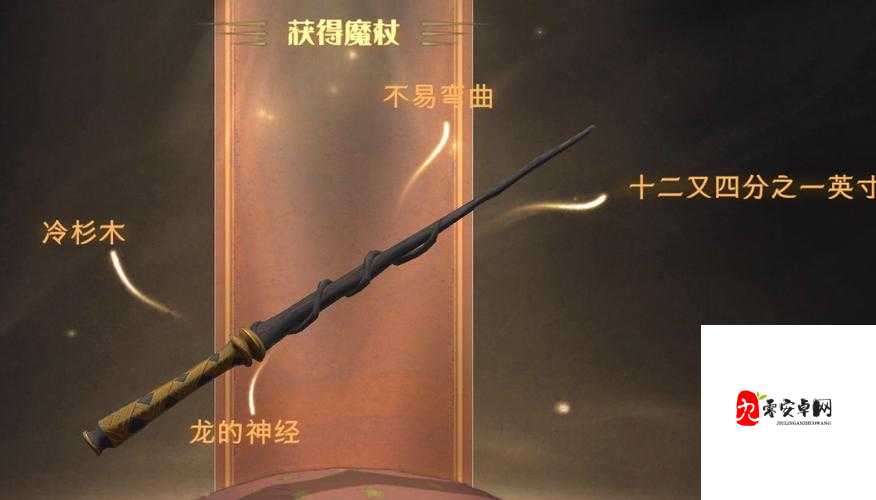 哈利波特魔法觉醒，探索魔杖的独特魅力