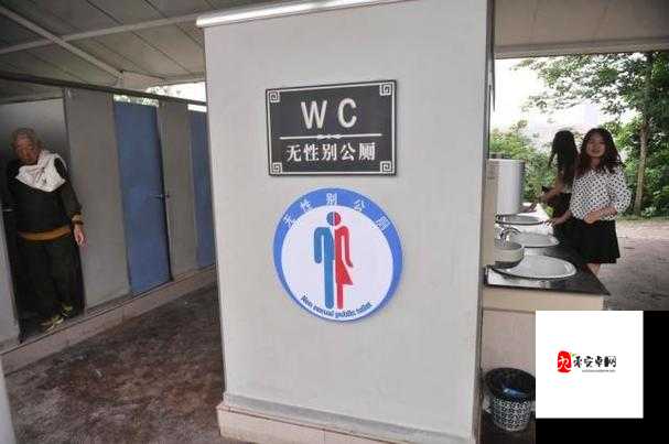 如何把男厕所变成女厕所，资源管理、高效利用与避免浪费的全面解析