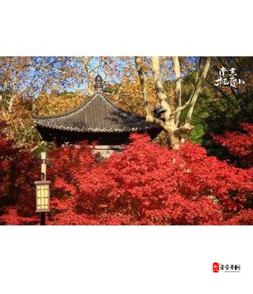 掌门修仙记栖霞山攻略，资源管理的艺术