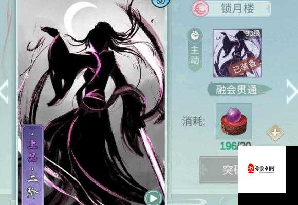 江湖悠悠锁月飞天刺图鉴，资源管理的艺术