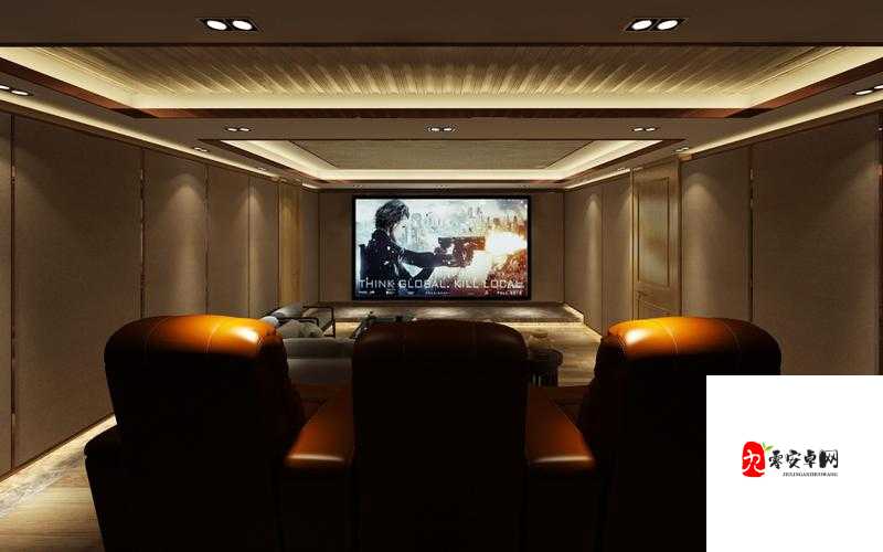 私人家庭影院 5577：打造极致视听盛宴之所