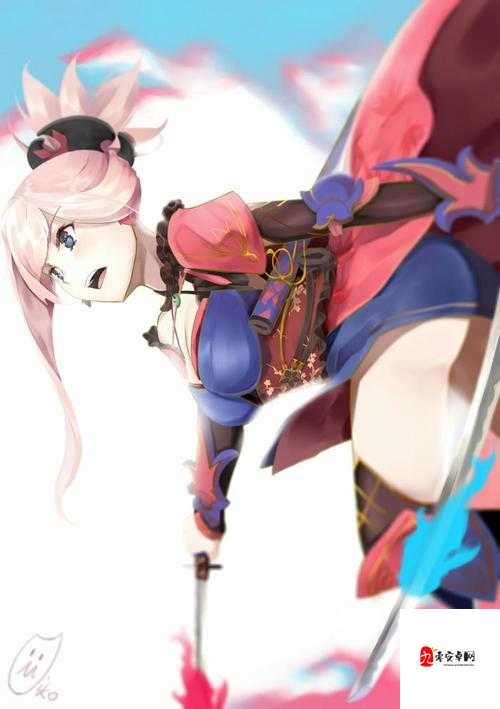 命运决战宫本武藏图鉴，资源管理的艺术