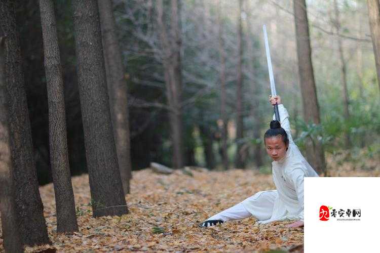 江湖悠悠武当断门掌图鉴，资源管理的艺术