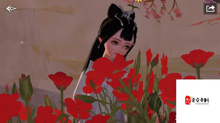 江湖悠悠九穹指图鉴，资源管理的艺术