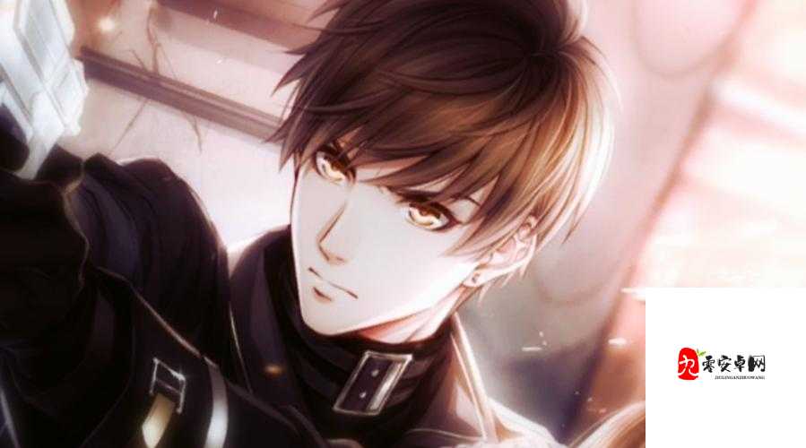 命运决战白起图鉴，资源管理的艺术与策略