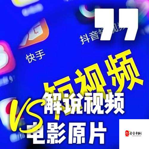成品短视频 APP：带来精彩无限的视听盛宴体验