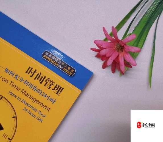 陪你到世界之巅什么梗，资源管理、高效利用与避免浪费的全面解析