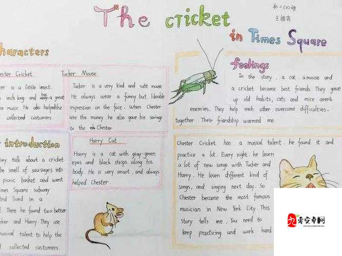 英语班长要看我积累的小成果