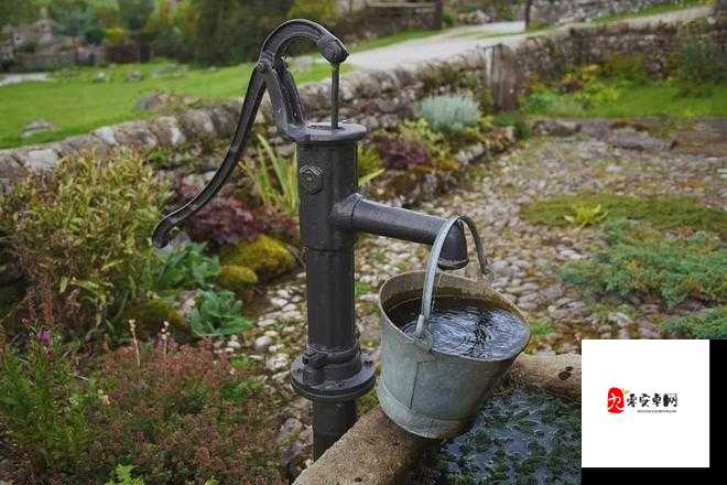 探秘水桶深处，发现那些被遗忘的清澈之源