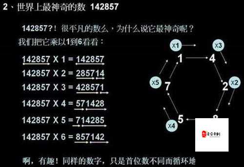 揭秘数字背后的秘密，找出规律，解锁答案的奇妙之旅
