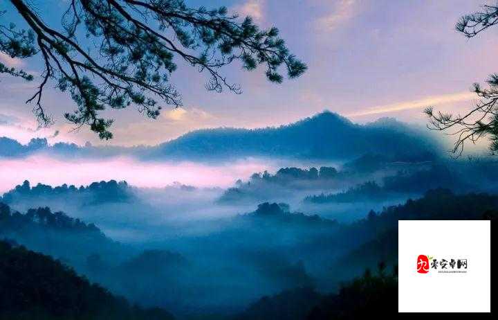 江湖悠悠，杏花图鉴里的诗意与远方