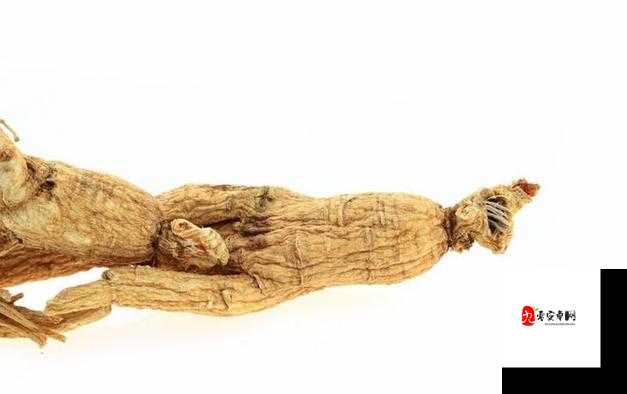 江湖悠悠人参图鉴，探寻武侠世界中的养生奥秘