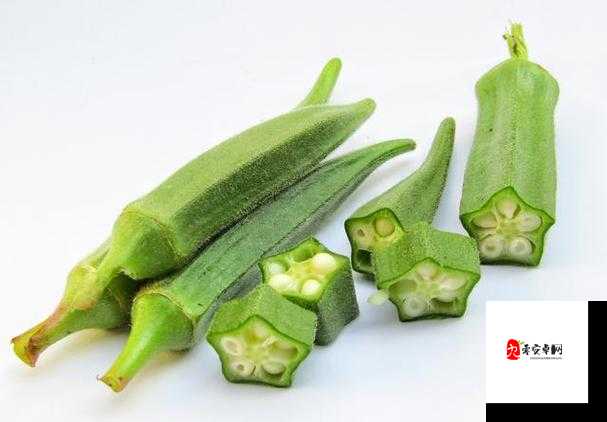 秋葵适合未满十八岁的人吃吗女生：营养与年龄的关联探讨