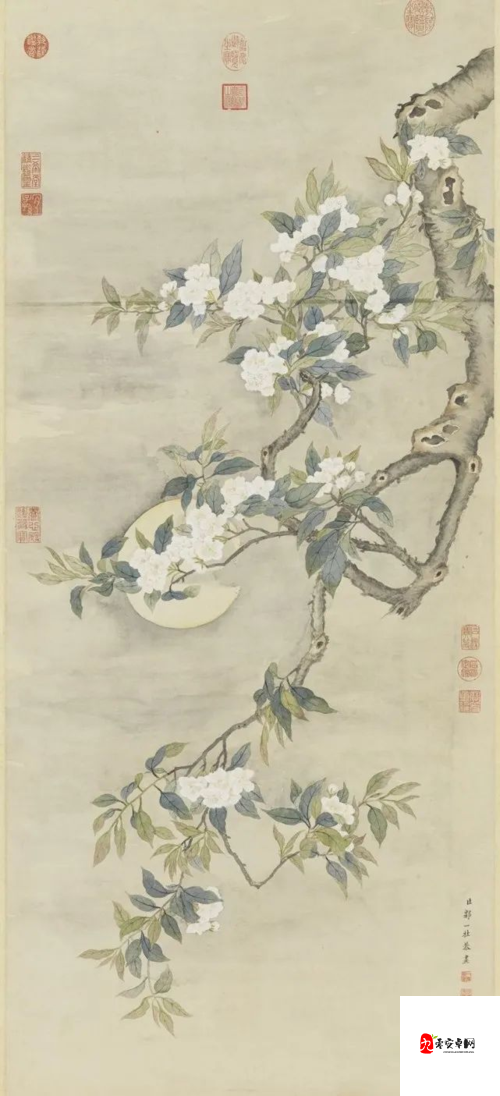 江湖悠悠，一册梨花图鉴，绘尽春日柔情