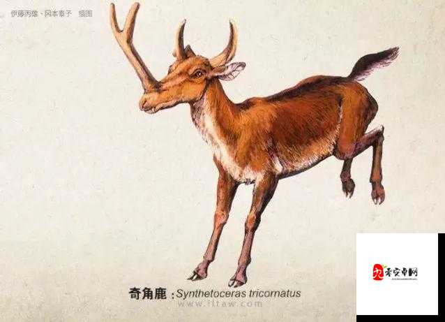 江湖悠悠鹿髓图鉴，解锁武侠世界的神秘宝藏