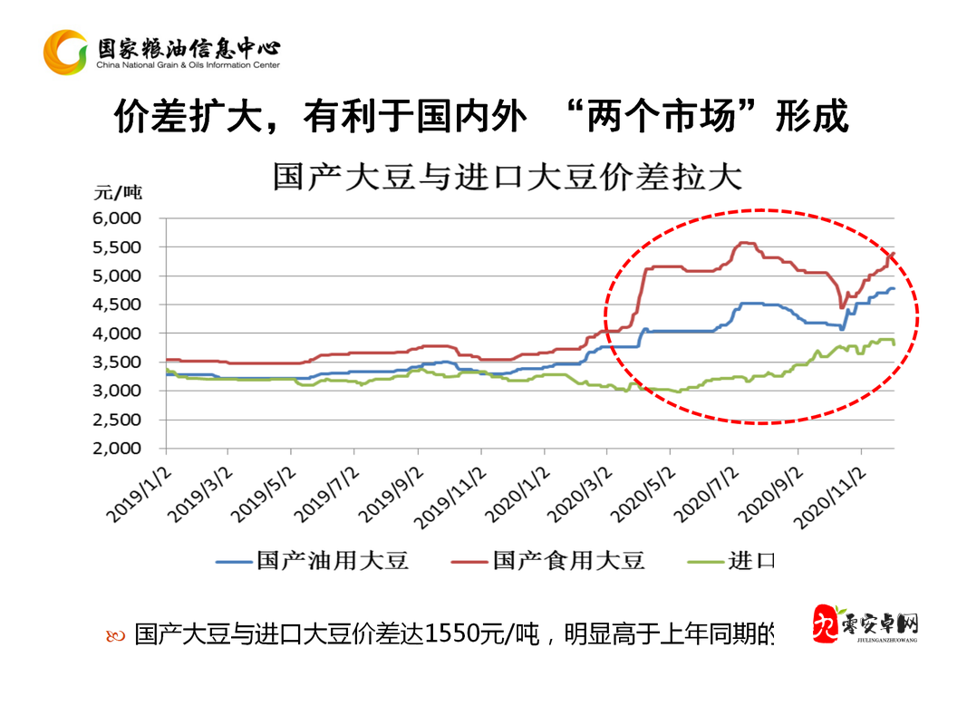 大豆行情网免费 V 完整版：大豆市场信息实时查询平台