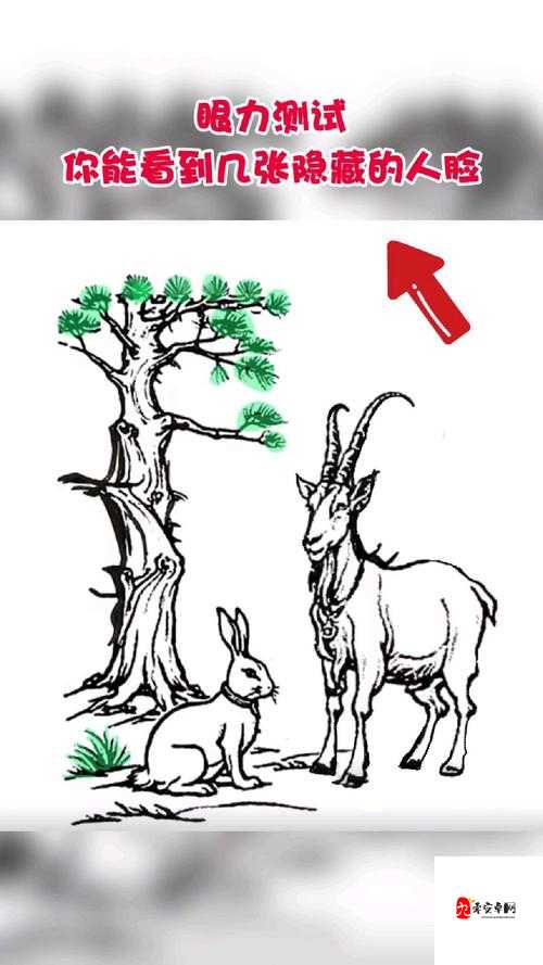 注意看整个过程看到多少张脸，资源管理的新视角