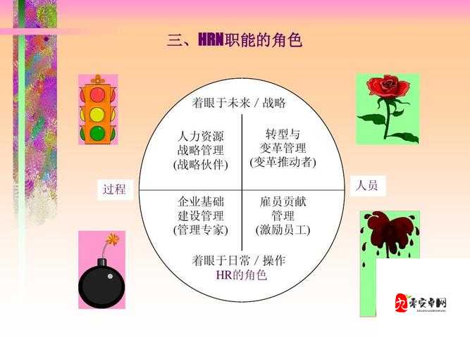 久久人力资源与普通版对比：优势尽显与不足凸显