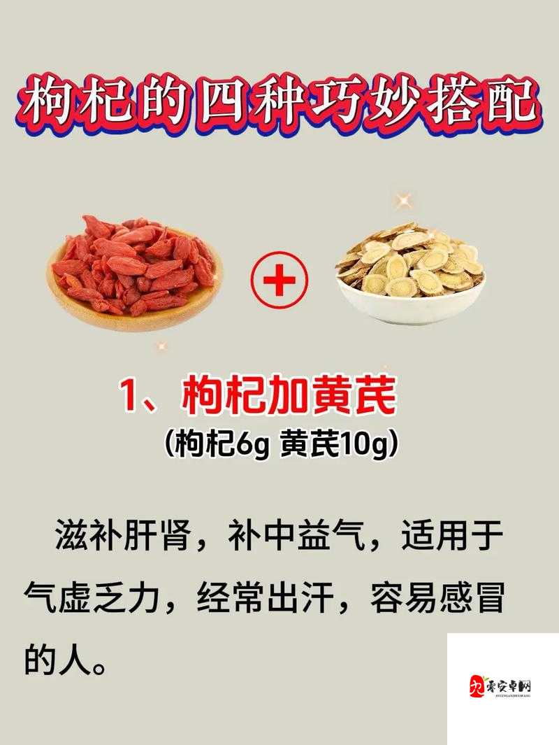 江湖悠悠，枸杞图鉴里的养生秘籍与武侠情缘