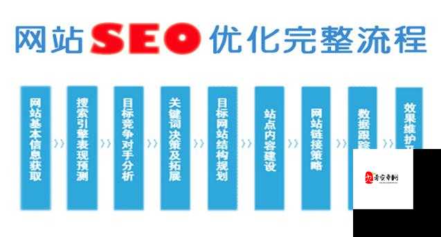 SEO 短视频网页入口网站推广：快速提升网站流量的有效途径