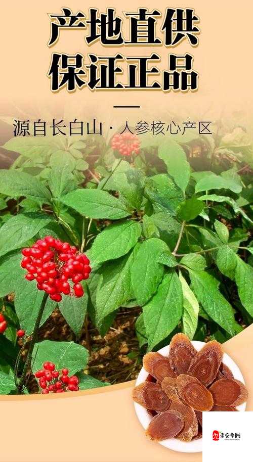 51 精产一二三产区的区别，你知道吗