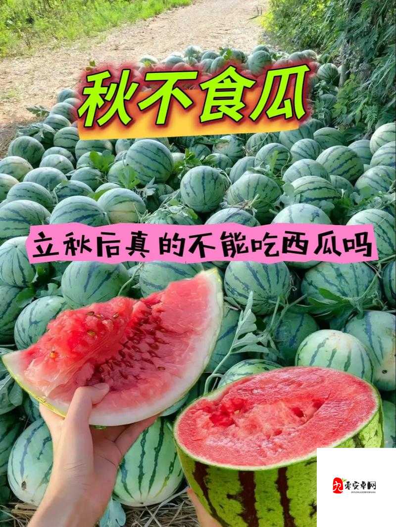 瓜中奥秘大揭秘，冬瓜黄瓜西瓜南瓜都能吃，什么瓜不能吃？猜两字揭晓！