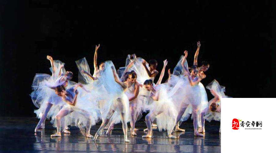 准备好纸巾的舞蹈：一场震撼心灵令人热泪盈眶的艺术盛宴