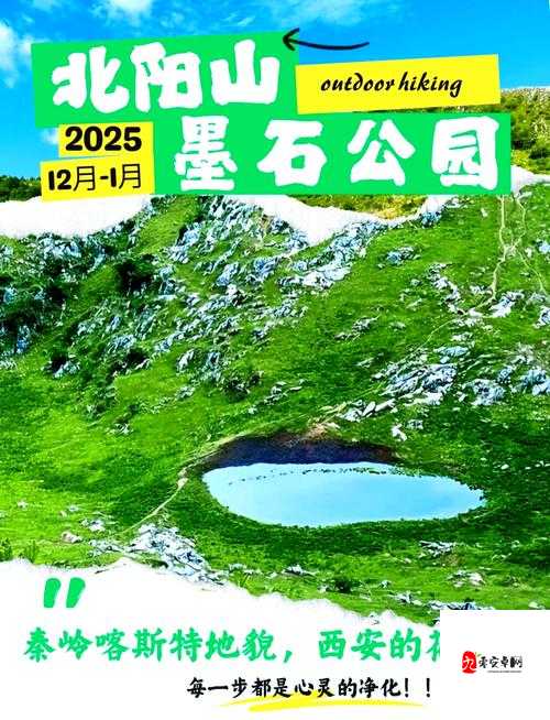 789se：探索未知领域的神秘之旅就此开启