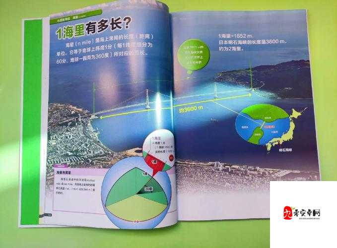 探寻万物之尺，哪一个最矮的秘密