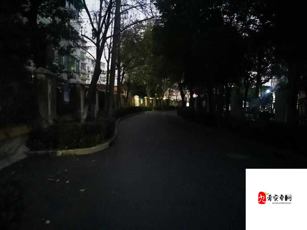 天黑了下面哪个最亮，在资源管理中的智慧之光