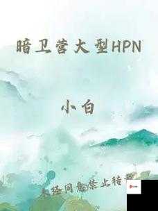 暗卫营大型 HPN 的具体功能是什么：详细解析与探讨