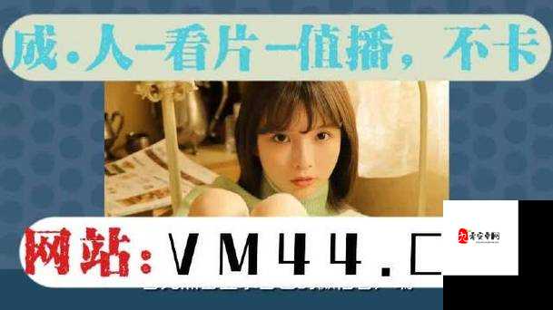 欧亚专线欧洲 S 码 WMY 全部资讯：涵盖丰富细节与最新动态