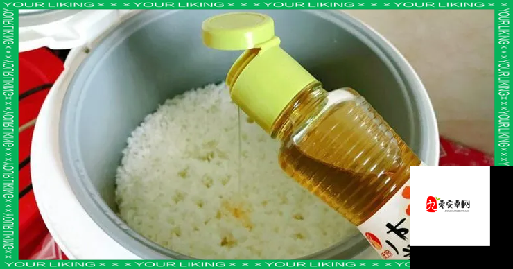 煮米饭要先干什么，资源管理视角下的深度剖析